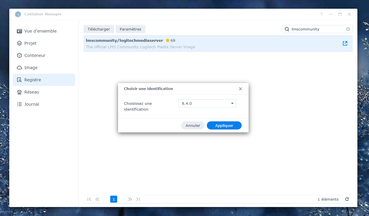Capture d'écran du Container Manager sur Synology DSM