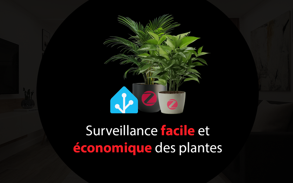Surveillance facile et économique des plantes avec Home Assistant